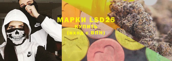 крисы Зерноград