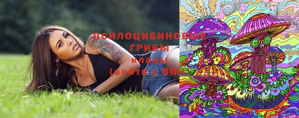 сатива Зеленокумск