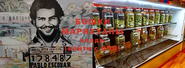 сатива Зеленокумск