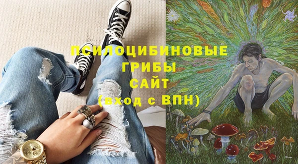сатива Зеленокумск