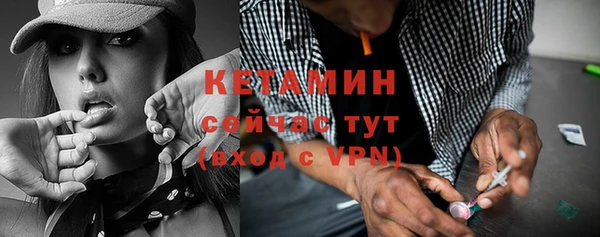 гидра Инта