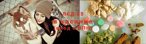 крисы Зерноград