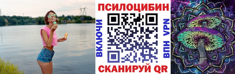 Купить закладки  Пудож  Псилоцибиновые грибы прущие грибы 